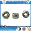 Stainless Steel 304/316 Hex Nylon Nut